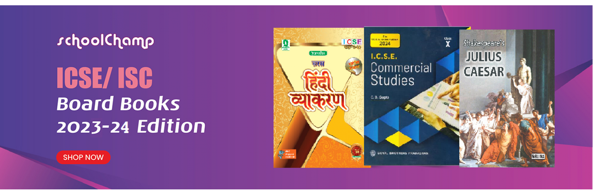 ISC/ICSE books